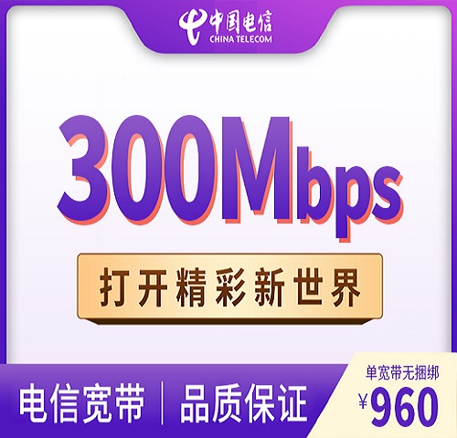 300M单宽带960元